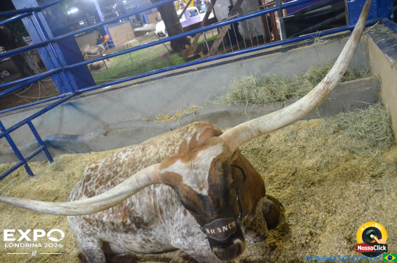 Expo Londrina 2026 em Londrina - 19/04/2026 - Foto 184