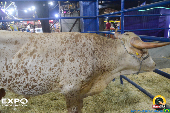 Expo Londrina 2026 em Londrina - 19/04/2026 - Foto 186