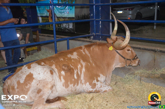 Expo Londrina 2026 em Londrina - 19/04/2026 - Foto 195