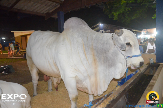 Expo Londrina 2026 em Londrina - 19/04/2026 - Foto 204
