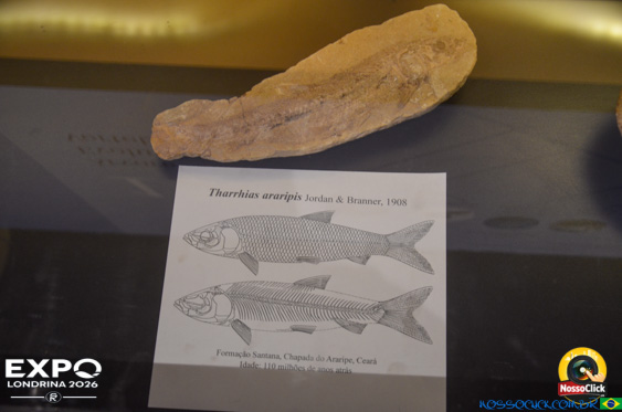 Expo Londrina 2026 em Londrina - 19/04/2026 - Foto 284