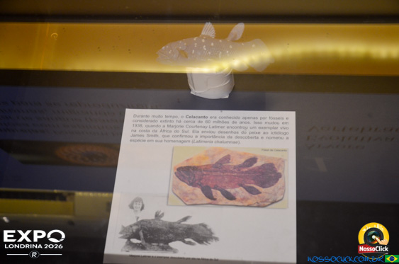 Expo Londrina 2026 em Londrina - 19/04/2026 - Foto 285