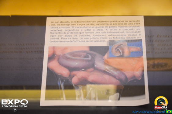 Expo Londrina 2026 em Londrina - 19/04/2026 - Foto 286