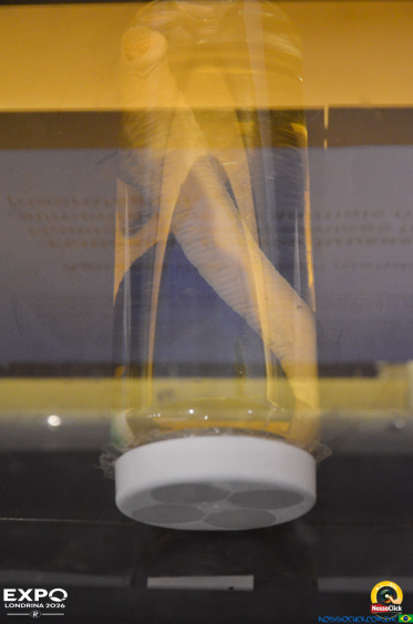 Expo Londrina 2026 em Londrina - 19/04/2026 - Foto 287