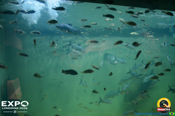 Expo Londrina 2026 em Londrina - 19/04/2026 - Foto 296