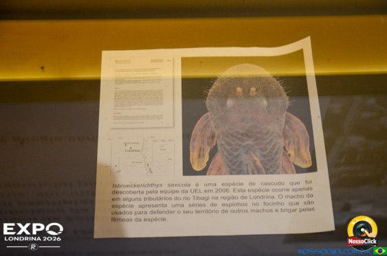 Expo Londrina 2026 em Londrina - 19/04/2026 - Foto 344