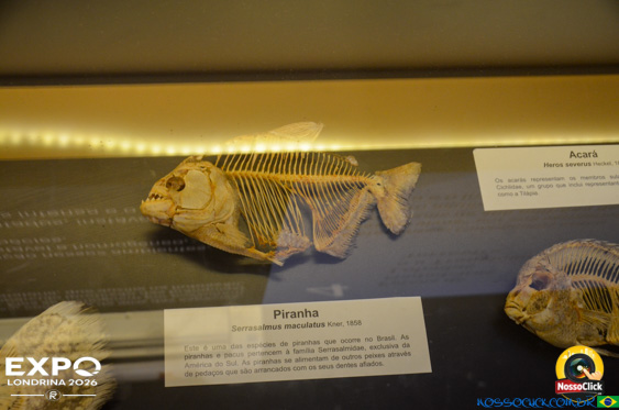 Expo Londrina 2026 em Londrina - 19/04/2026 - Foto 347