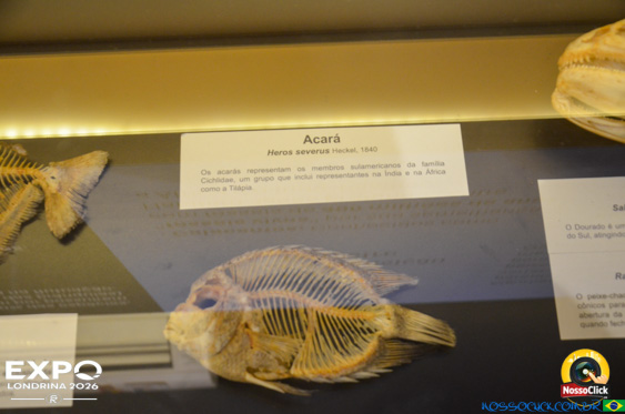 Expo Londrina 2026 em Londrina - 19/04/2026 - Foto 348