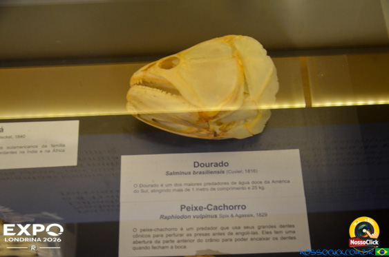 Expo Londrina 2026 em Londrina - 19/04/2026 - Foto 349