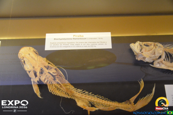 Expo Londrina 2026 em Londrina - 19/04/2026 - Foto 352