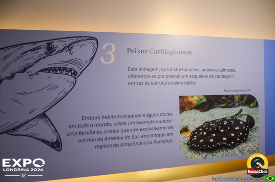 Expo Londrina 2026 em Londrina - 19/04/2026 - Foto 355