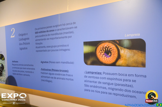 Expo Londrina 2026 em Londrina - 19/04/2026 - Foto 356