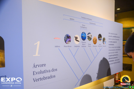 Expo Londrina 2026 em Londrina - 19/04/2026 - Foto 357