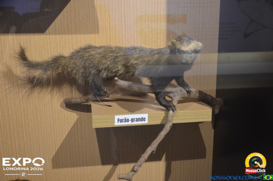 Expo Londrina 2026 em Londrina - 19/04/2026 - Foto 361