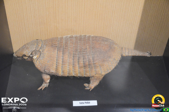 Expo Londrina 2026 em Londrina - 19/04/2026 - Foto 363