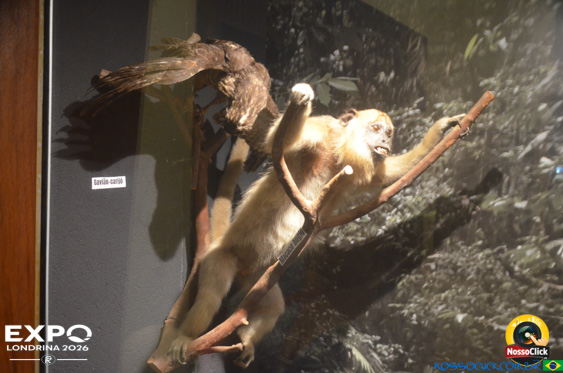 Expo Londrina 2026 em Londrina - 19/04/2026 - Foto 373