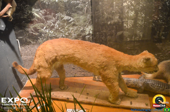 Expo Londrina 2026 em Londrina - 19/04/2026 - Foto 374