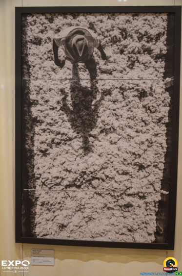 Expo Londrina 2026 em Londrina - 19/04/2026 - Foto 381