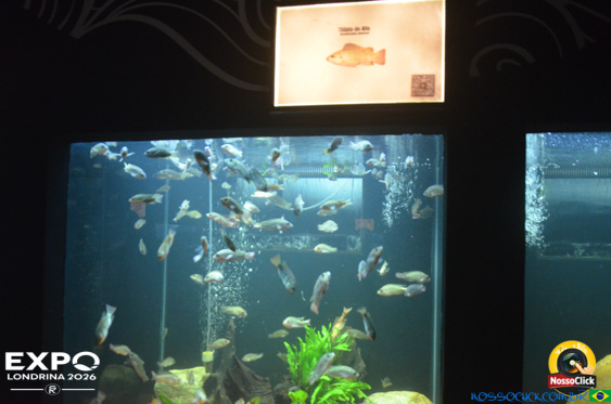 Expo Londrina 2026 em Londrina - 19/04/2026 - Foto 383