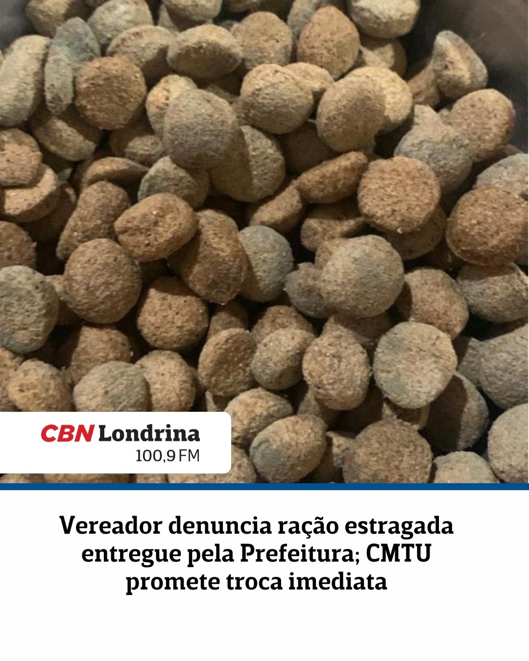 Vereador denuncia ração estragada entregue pela Prefeitura; CMTU promete troca imediata